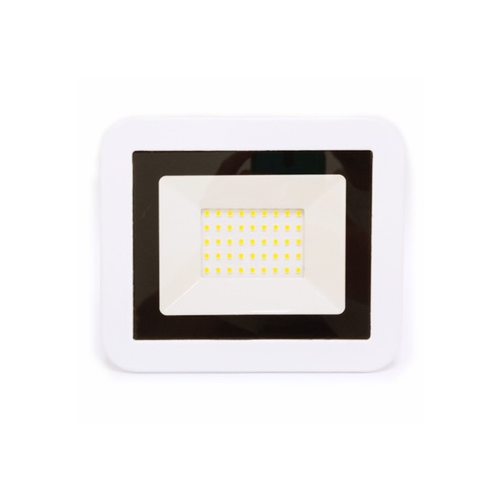 Krisane - Projecteur LED - 30W - 4000°K - Blanc - Réf : KRI29753