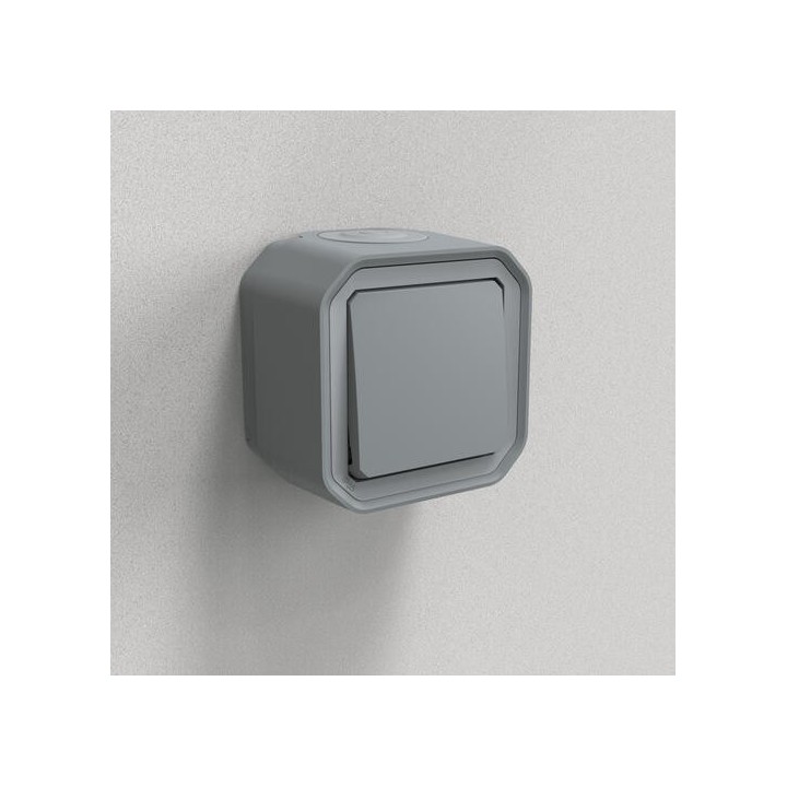 Legrand - Poussoir contact NO étanche Plexo 10AX 250V IP55 IK08 complet saillie - gris - Réf : 069720L