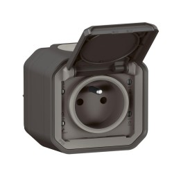 Legrand - Prise de courant 2P+T étanche Plexo 16A 250V IP55 IK08 complet saillie - anthracite - Réf : 069791L