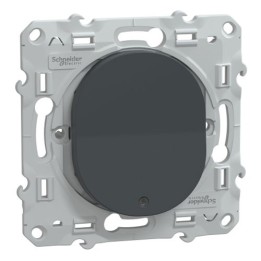 Schneider - Ovalis - poussoir à fermeture lumineux - 10AX - LED bleu 250V - Anthracite - Réf : S340276