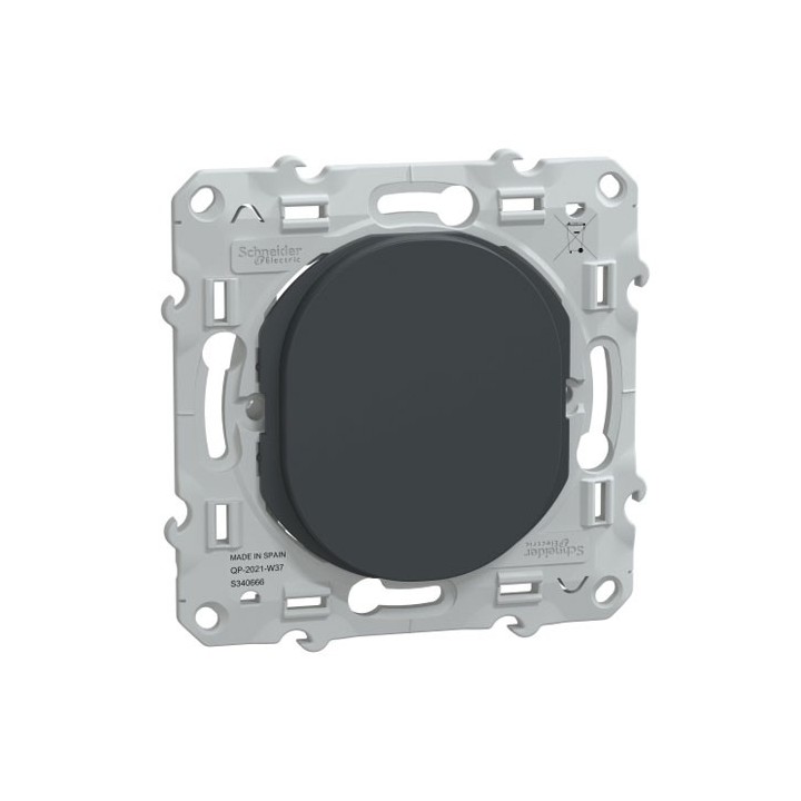 Schneider - Ovalis - obturateur - Anthracite - Réf : S340666