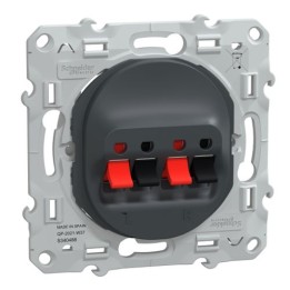 Schneider - Ovalis - Prise haut-parleur 2 sorties - Anthracite - Réf : S340488