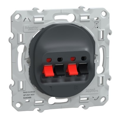 Schneider - Ovalis - Prise haut-parleur 2 sorties - Anthracite - Réf : S340488