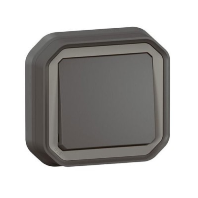 Legrand - Interrupteur ou va-et-vient étanche Plexo 10AX 250V IP55 IK08 complet encastré - anthracite - Réf : 069881L