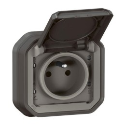 Legrand - Prise de courant 2P+T étanche Plexo 16A 250V IP55 IK08 complet encastré - anthracite - Réf : 069860L