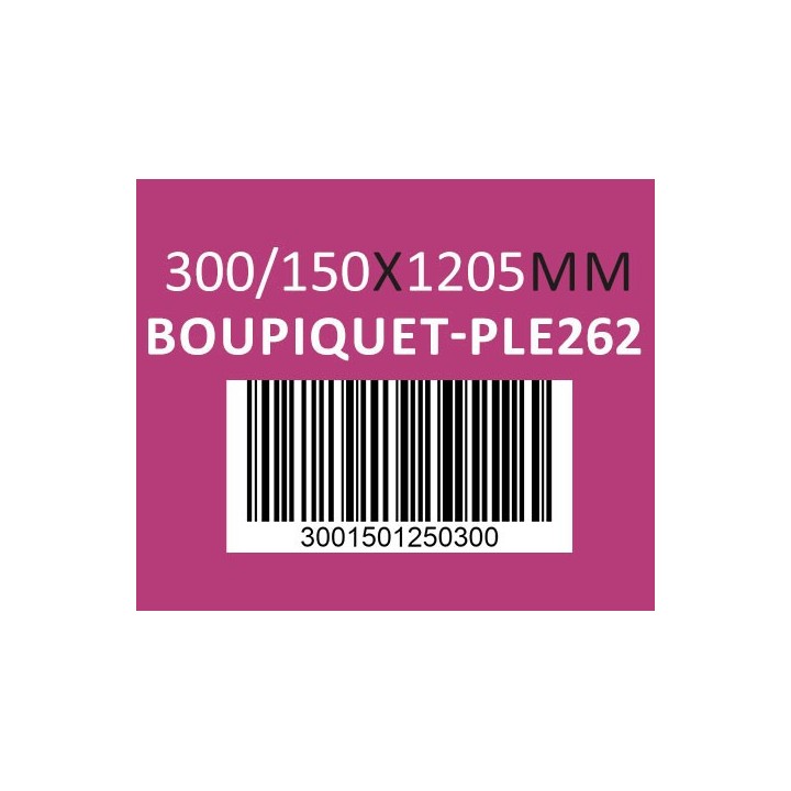 Caisse carton 300/150 x 1205mm - Réf : BOUPIQUET-PLE262