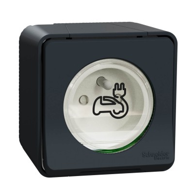 Schneider Mureva Styl - Prise courant 2P+T renforcée pour véhicule électrique - IP55 IK08 - saillie - gris - Réf : MUR36010