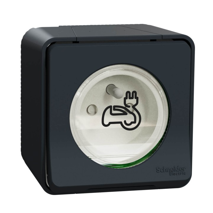 Schneider Mureva Styl - Prise courant 2P+T renforcée pour véhicule électrique - IP55 IK08 - saillie - gris - Réf : MUR36010