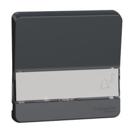 Schneider Electric - Mureva Styl - Enjoliveur porte étiquette lumineux - IP55 - IK08 - gris - Réf : MUR34203