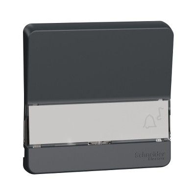 Schneider Electric - Mureva Styl - Enjoliveur porte étiquette lumineux - IP55 - IK08 - gris - Réf : MUR34203