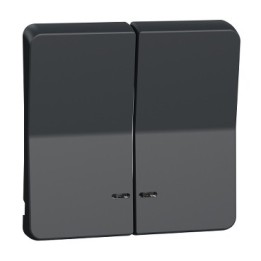 Schneider Electric - Mureva Styl - Enjoliveur 2 demi touche - IP55 - IK08 - gris - Réf : MUR34205