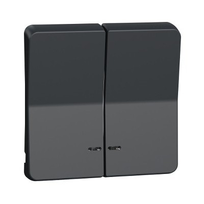 Schneider Electric - Mureva Styl - Enjoliveur 2 demi touche - IP55 - IK08 - gris - Réf : MUR34205