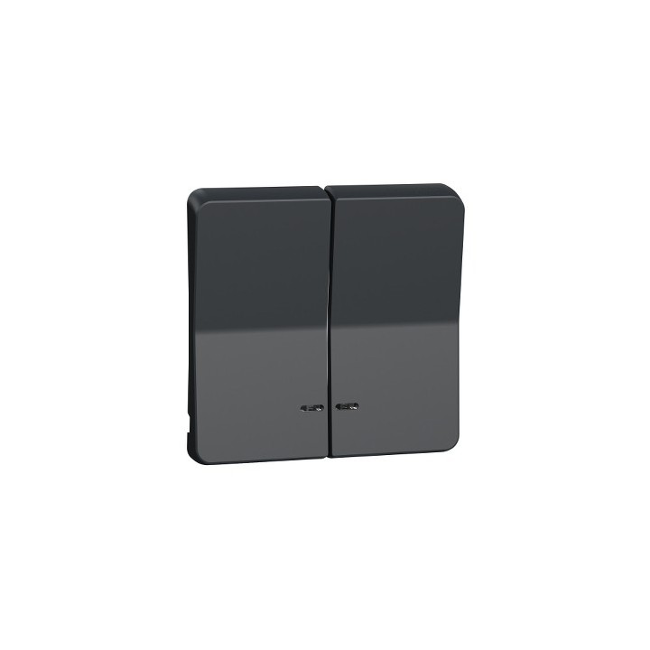 Schneider Electric - Mureva Styl - Enjoliveur 2 demi touche - IP55 - IK08 - gris - Réf : MUR34205
