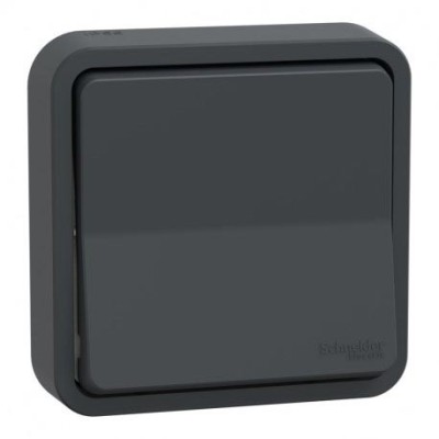 Schneider Electric - Mureva Styl - Va et vient - complet encastré - IP55 - IK08 connex auto - gris - Réf : MUR35037