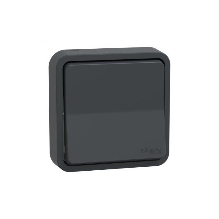 Schneider Electric - Mureva Styl - Va et vient - complet encastré - IP55 - IK08 connex auto - gris - Réf : MUR35037