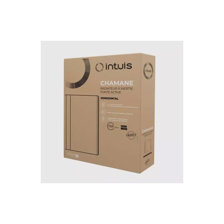 Intuis - Radiateur fonte active - Chamane - Blanc - 1000W - Horizontal - Réf : M119113