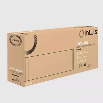Intuis - Radiateur fonte active - Chamane - Blanc - 750W - Plinthe - Réf : M119412