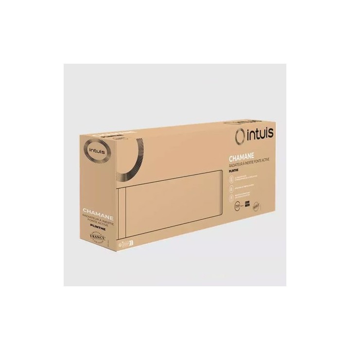 Intuis - Radiateur fonte active - Chamane - Blanc - 1000W - Plinthe - Réf : M119413