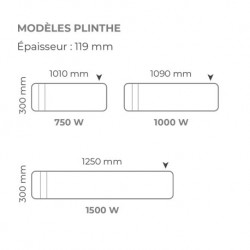 Radiateur electrique Plinthe Fonte CHAMANE 1500W INTUIS M119415
