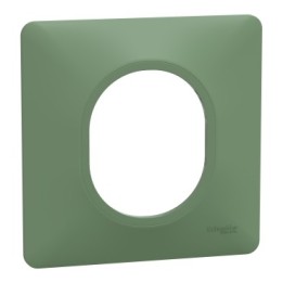 Ovalis - Plaque de finition - 1 poste Vert Forêt - Réf : S320702B