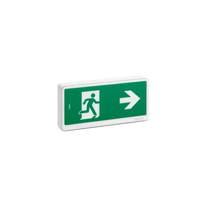 Schneider - Exiway Light Bloc de secours Evacuation IP65 SATI - Réf : OVA59111