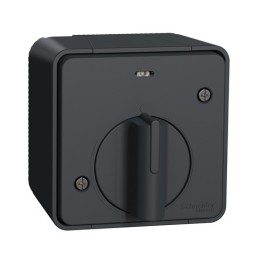 Schneider Electric - Mureva Styl - Interrupteur temporisé LED - saillie - IP55 - IK08 - gris - Réf : MUR35067