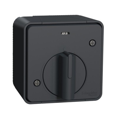 Schneider Electric - Mureva Styl - Interrupteur temporisé LED - saillie - IP55 - IK08 - gris - Réf : MUR35067