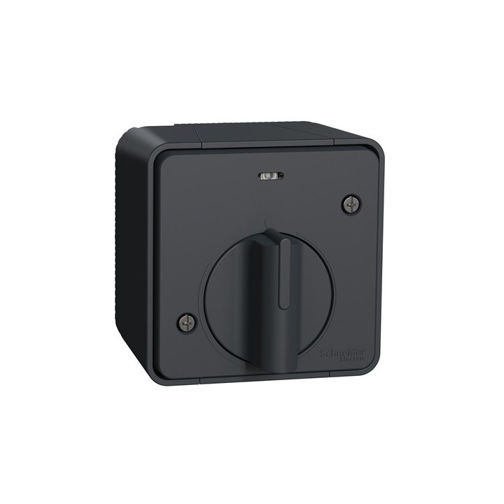 Schneider Electric - Mureva Styl - Interrupteur temporisé LED - saillie - IP55 - IK08 - gris - Réf : MUR35067