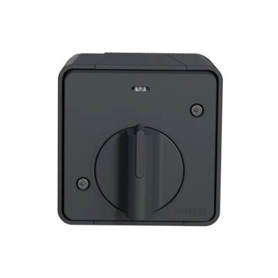 Schneider Electric - Mureva Styl - Interrupteur temporisé LED - saillie - IP55 - IK08 - gris - Réf : MUR35067