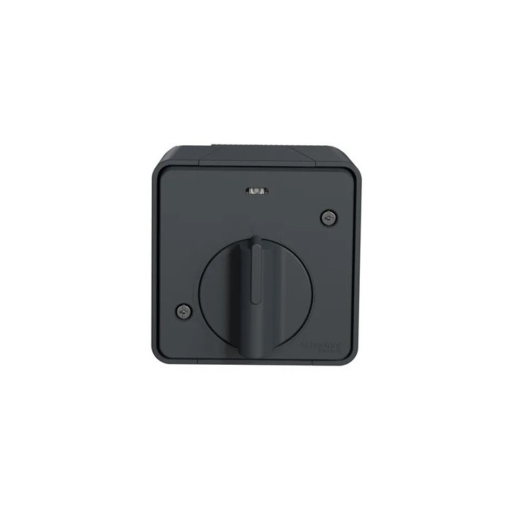 Schneider Electric - Mureva Styl - Interrupteur temporisé LED - saillie - IP55 - IK08 - gris - Réf : MUR35067