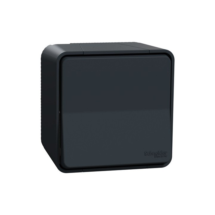 Schneider Mureva Styl - Va et vient complet saillie IP55 - connexion auto - gris - Réf : MUR35021