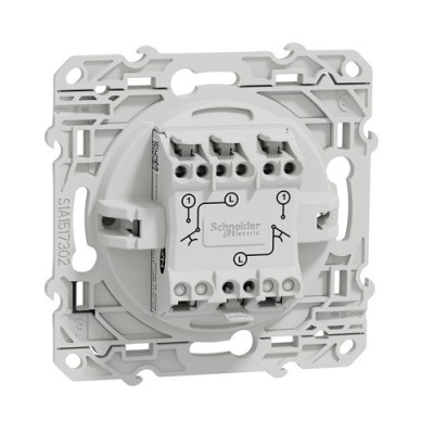 Schneider Odace - Double Bouton Poussoir - Blanc - Réf : S520216