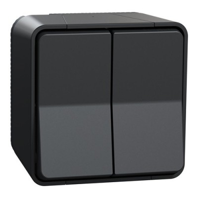 Schneider Mureva Styl - Double va et vient complet saillie - IP55 connexion auto - gris - Réf : MUR35022