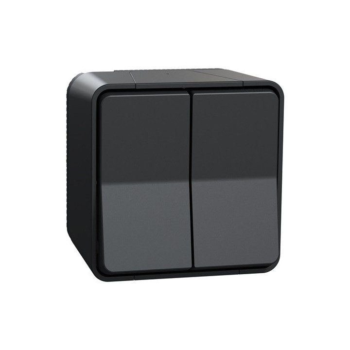 Schneider Mureva Styl - Double va et vient complet saillie - IP55 connexion auto - gris - Réf : MUR35022