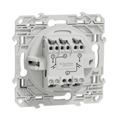 Schneider Odace - Double Poussoir - Anthracite - Connexion Rapide - Réf : S540216