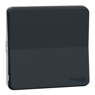 Schneider Mureva Styl - Va et vient composable IP55- connexion automatique gris - Réf : MUR37021