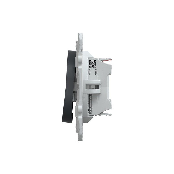 Schneider - Ovalis - interrupteur va et vient - 10AX - Anthracite - Réf : S340204