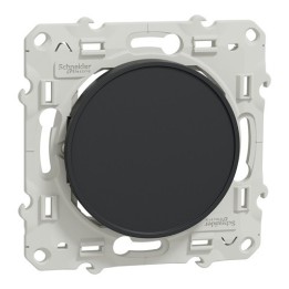 Schneider Odace - Obturateur - Anthracite - Réf : S540666