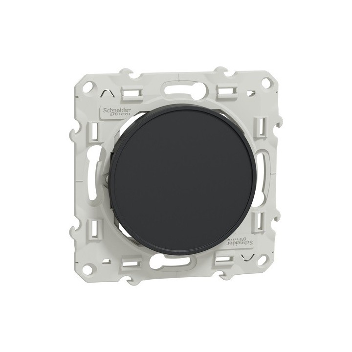 Schneider Odace - Obturateur - Anthracite - Réf : S540666