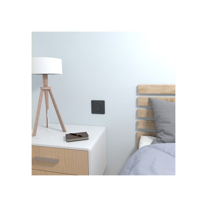 Schneider - Ovalis - bouton poussoir à fermeture - 10A - Anthracite - Réf : S340206