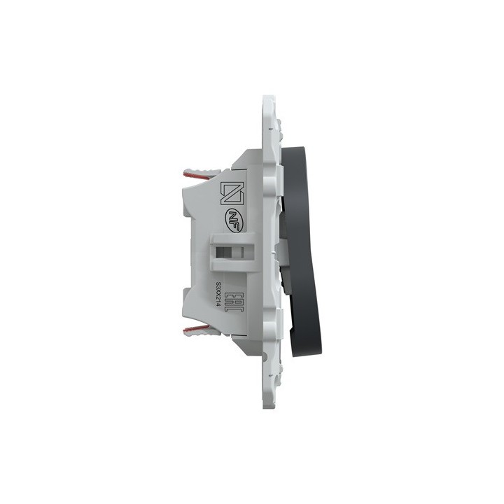 Schneider - Ovalis - double va et vient - 10AX - Anthracite - Réf : S340214