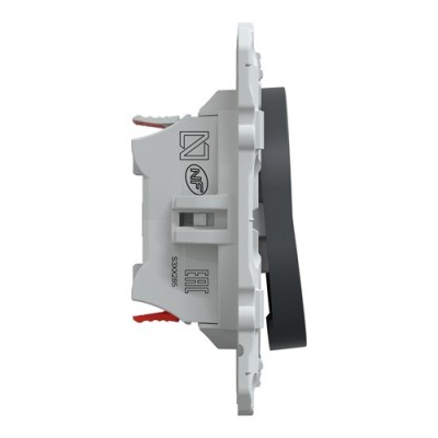 Schneider - Ovalis - combiné va et vient+poussoir - 10AX - Anthracite - Réf : S340285