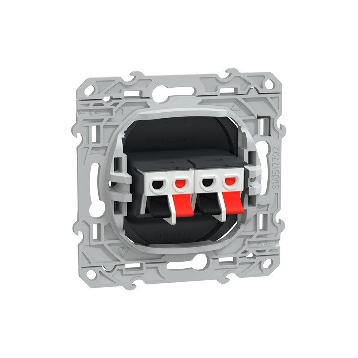 Schneider - Ovalis - Prise haut-parleur 2 sorties - Anthracite - Réf : S340488
