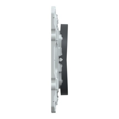 Schneider - Wiser Ovalis - interrupteur centralisé sans fil 2 ou 4 BP - Anthracite - Réf : S340531