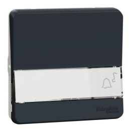 Schneider Electric - Mureva Styl - Bouton poussoir porte-etiquette - composable - IP55 - IK08 - gris - Réf : MUR34029