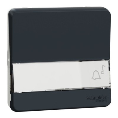 Schneider Electric - Mureva Styl - Bouton poussoir porte-etiquette - composable - IP55 - IK08 - gris - Réf : MUR34029