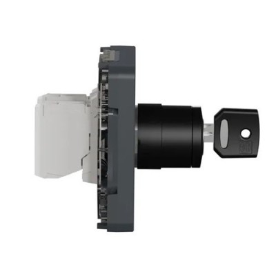 Schneider Electric - Mureva Styl - Interrupteur à clé 2 positions - composable - IP55 - IK08 - gris - Réf : MUR35062