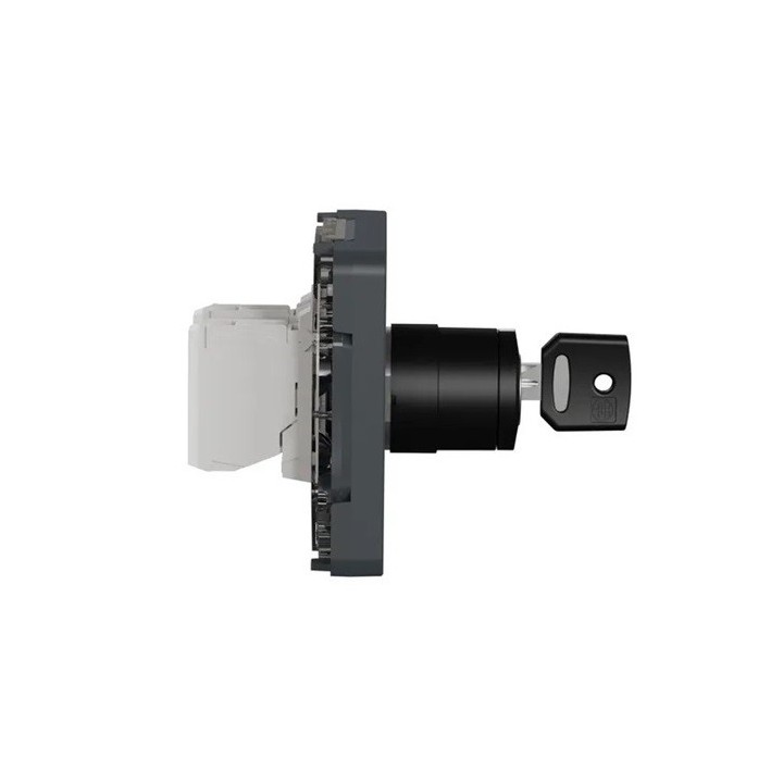 Schneider Electric - Mureva Styl - Interrupteur à clé 2 positions - composable - IP55 - IK08 - gris - Réf : MUR35062