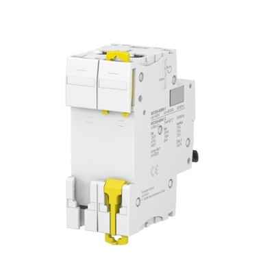 Schneider - Acti9, iC60N disjoncteur 2P 50 A courbe C - Réf : A9F74250