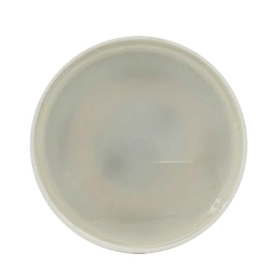 Krisane - Ampoule LED GU10 - 7W - 3000K - 120° - Réf : KRI25573